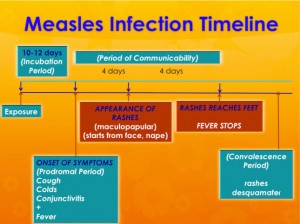 measles-infection-timeline
