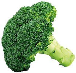 Broccoli HC