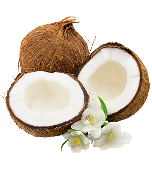 coconut_portrait
