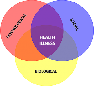 biopsychosocial model health wellness circle approach healing pain emotional neurological process experience assessment marque team holistic