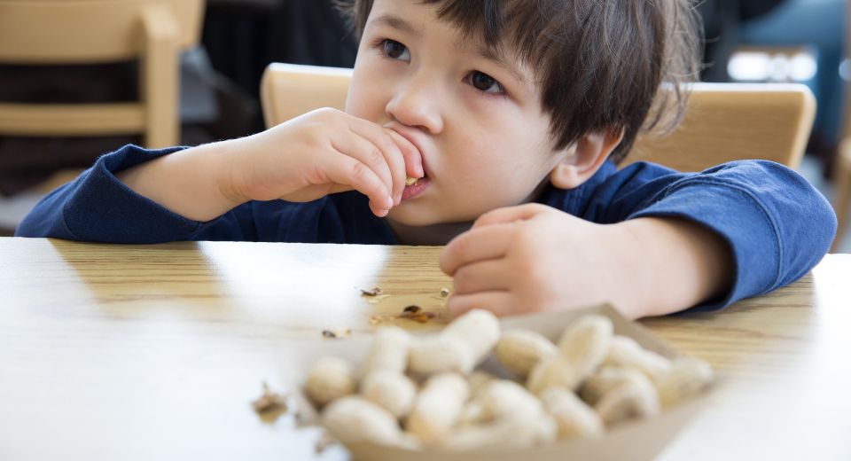 Food Allergies in Children