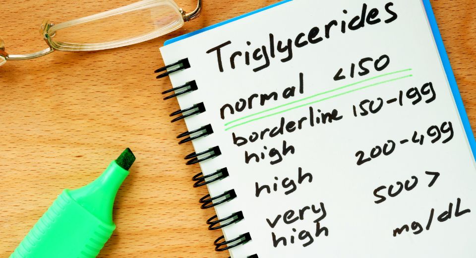 The Role of Triglycerides in Health