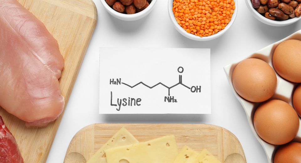 What is Lysine?