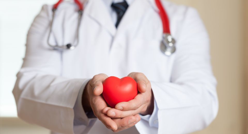 Doctor with stethoscope holding a fake heart