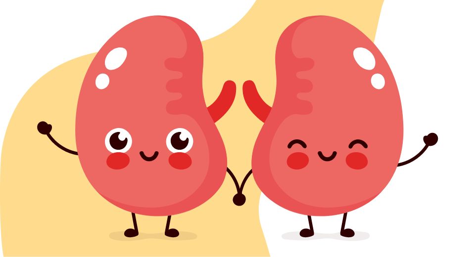 World Kidney Day: Promoting Kidney Health for All